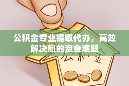 巴东公积金专业提取代办，高效解决您的资金难题