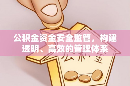 巴东公积金资金安全监管，构建透明、高效的管理体系