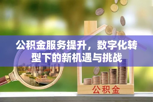 巴东公积金服务提升，数字化转型下的新机遇与挑战