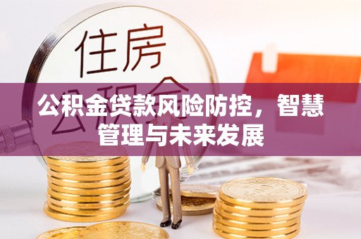 巴东公积金贷款风险防控，智慧管理与未来发展