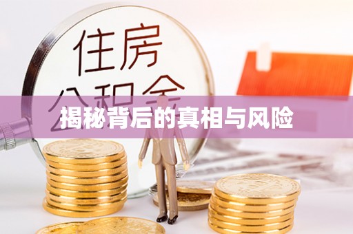 巴东揭秘背后的真相与风险