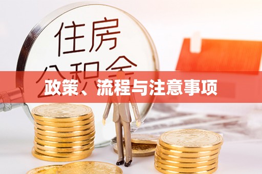 巴东政策、流程与注意事项