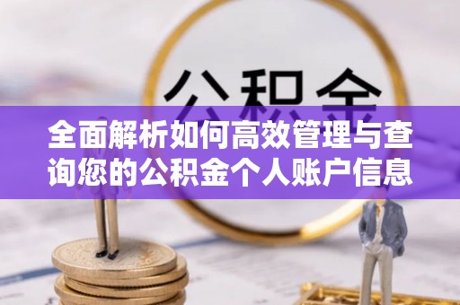 巴东全面解析如何高效管理与查询您的公积金个人账户信息