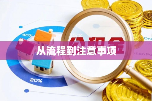巴东从流程到注意事项