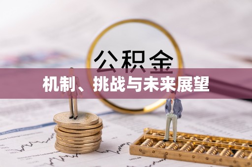 巴东机制、挑战与未来展望